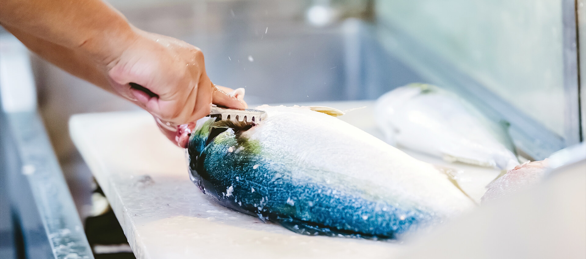 築地はじめ鮮魚店